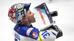 Slovenský hrdina minuloročných MS v hokeji so zaslúženou odmenou: Upísal sa v NHL