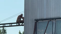 VIDEO: Polonahý muž zastavil železničnú dopravu po tom, čo ho vyhodili z vlaku. Vyliezol na stožiar
