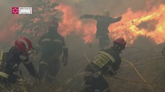 Vlak v Španielsku uviazol v horiacom lese. Cestujúci v panike vyskakovali von, hlásia 11 zranených