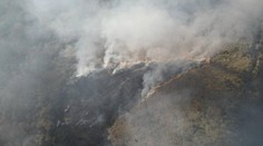 FOTO: Na Záhorí v ťažko dostupnom teréne vypukol požiar. Na mieste zasahujú desiatky hasičov