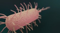 Návrat nebezpečnej infekčnej choroby: U niektorých ľudí sa príznaky cholery neobjavia, riziko úmrtnosti je vtedy vysoké