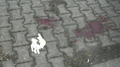 Dobitý drevorubač zomrel pre pár cigariet