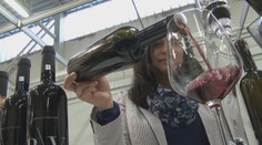 Žiadna etiketa vám neprezradí, ktoré víno je najlepšie. Na návod sme sa pýtali odborníka