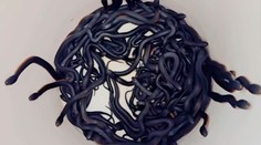 VIDEO: Mužovi zaplavili záhradu mláďatá jedovatých hadov. Ich odchyt trval tri hodiny