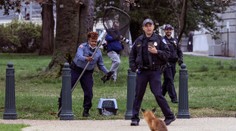 FOTOGRAFIE TÝŽDŇA: Premiér Heger na Ukrajine, odchyt líšky na Capitol Hill či trosky ukrajinského Antonova