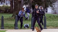 FOTOGRAFIE TÝŽDŇA: Premiér Heger na Ukrajine, odchyt líšky na Capitol Hill či trosky ukrajinského Antonova