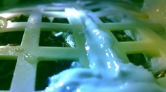 Vyklíčená rastlina na Mesiaci neprežila noc a zamrzla