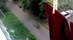 Hrozivé zábery na videu. Dieťa vypadlo z okna, zachytili ho do prikrývky