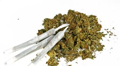 Lekári tvrdia, že z marihuany rastú mužom prsia