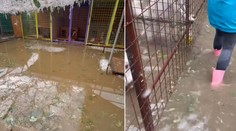 VIDEO: Spúšť po búrke v útulku v Brezne. Psy sú vydesené, majetok je zničený a všetko je pod vodou