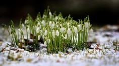 Čaká nás priaznivé počasie i nepohoda, okrem silného vetra niekde napadne aj sneh