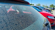 Slovensko posial žltý prach. Nejde o saharský piesok ani peľ z repky olejnej