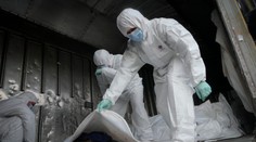 Stovky tiel ruských vojakov čakajú v chladiarenskom vlaku pri Kyjeve