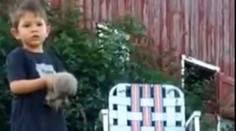 Rozkošné mačiatka. Chlapec sa pri nich poriadne zapotil