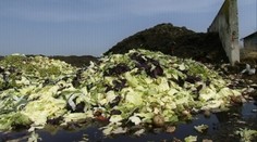 Brusel chce bojovať s mrhaním jedla. Môže zmiznúť dátum trvanlivosti