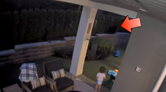 Takého návštevníka nechceli. Rodinu na dvore prekvapil medveď, dieťa sa za ním nadšene rozbehlo