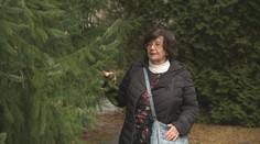 Dôchodok, menopauza aj psychika: Seniorky hovoria o období plnom zmien aj neistoty