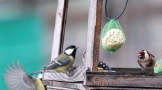 Zamračené a hmlisté počasie s mrholením bude pokračovať