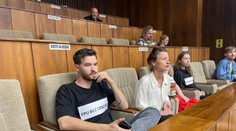 Niektorí so zviazanými rukami, iní v krojoch. Pred parlamentom protestovali umelci