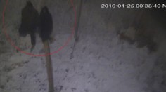 Pat a Mat? Vandali nakrútili samých seba pri čine, ani o tom netušili