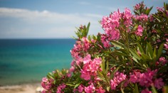 Zisťovali sme ceny dovoleniek u nás a v zahraničí