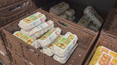 Zákaz klietkového chovu a cena vajec. V Rakúsku sme zažili šok