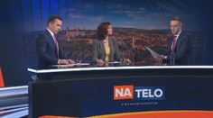 Erik Tomáš: Na predčasné voľby nie je dôvod, sporné zákony odsunieme na apríl