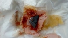 Ďalší otrasný nález zo slovenského obchodu. Mohlo ísť o život