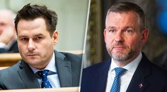 Náhlik priznal vilu vo Vrakuni, ktorú využíva Pellegrini. Do majetkového priznania ju doplnil až po medializácii