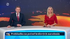 Prehliadka na počesť kráľových narodenín