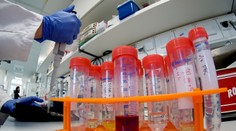 Vedcom sa podarila prevratná vec. Vytvorili zvieracie embryo s ľudskými bunkami