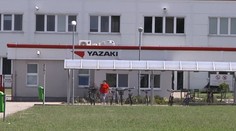 Stovky zamestnancov spoločnosti YAZAKI Michalovce majú strach. Šepká sa o prepúšťaní