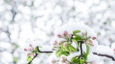 Arktický vzduch z Grónska prenikne až do Chorvátska. V Európe hrozia škody