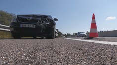 Na diaľnici neďaleko Popradu zrazilo auto medveďa. Šelmu museli po nehode zastreliť