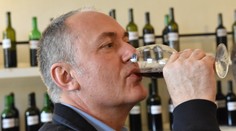 Záhoráci majú radosť! Ďalšie slovenské víno má chránené označenie od eurokomisie