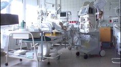 Aj keď si platil odvody, nemá nárok na nemocenské