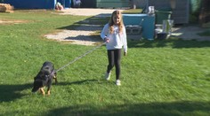 Nemohli uveriť tomu, čo priniesla. Desaťročná školáčka sa zriekla narodeninového darčeka, aby pomohla útulku