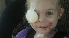 Prípad, ktorý obletel internet, je vraj podvod