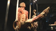 Kontroverzná výstava v obchodnom centre v Bratislave. Zakonzervované mŕtve telá majú vzdelávať