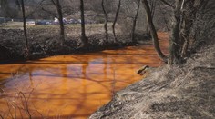 Obávaný scenár sa potvrdil. Rieka Slaná je extrémne kontaminovaná, výsledky sú podľa rozborov alarmujúce