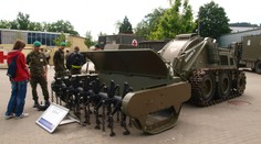 Prídeme o "Boženu"? Možno jej výrobu presunú do Česka