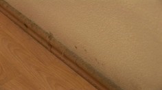 Dlho sa z nových bytov netešili. Plesnivé steny a krivá podlaha