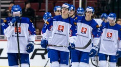 Štatistiky Slovákov na MS 20: Produktivitu ovládol kapitán Fehérváry a Liška