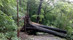 Bratislava dostala v noci zabrať. Hasiči mali plné ruky práce