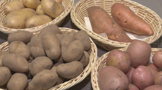 Zemiaky teraz stoja pár centov. Kuchár radí, ktoré sú najlepšie a ako ich skladovať aj celé mesiace