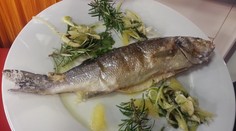 Ceny rýb rapídne stúpli. V obchodoch sú drahšie ako od súkromníka