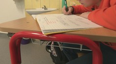 Má byť slovenčina v českých školách? Rada Európy žiada zmenu