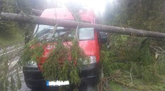 Tragédia vo Vysokých Tatrách: Auto s vodičom privalili hneď dva stromy!