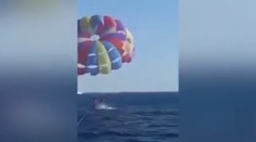 Hororový zážitok na parasailingu: Žralok vyskočil z vody a odhryzol mužovi z nohy