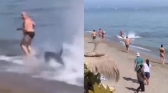 VIDEO: Obrovská ryba sa „valila“ na pláž v obľúbenom španielskom letovisku. Nečakaný návštevník zbudil rozruch